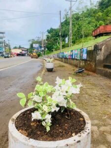 “පුනරුදයේ පුරවර” – පළාත් පාලන සතිය 2026
